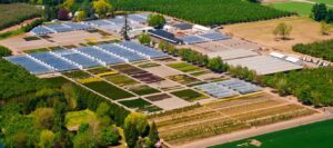 Young Blood Nursery Aerial View