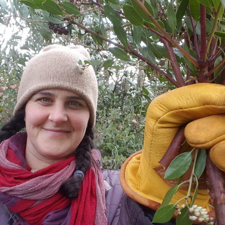 Indigo Gardens - Oregon Flower Growers Association