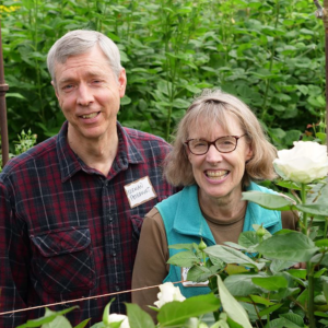 Peterkort Roses - OFGA